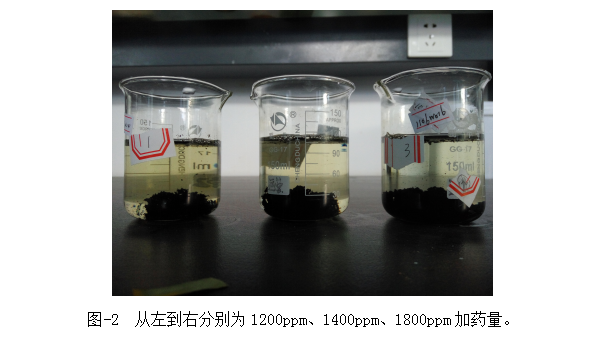 圖-2  從左到右分別為1200ppm、1400ppm、1800ppm加藥量